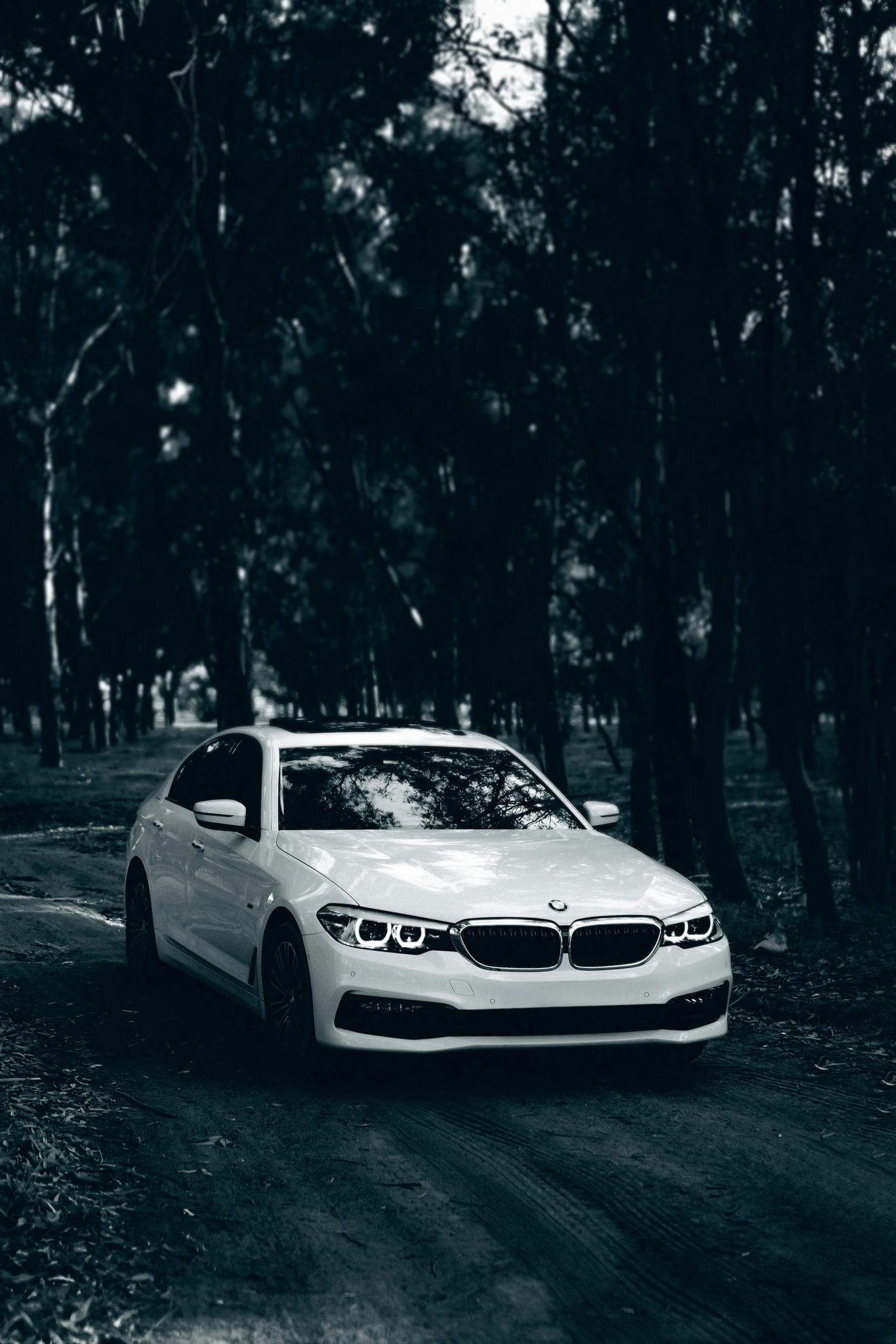 BMW 5 Series (Indore)